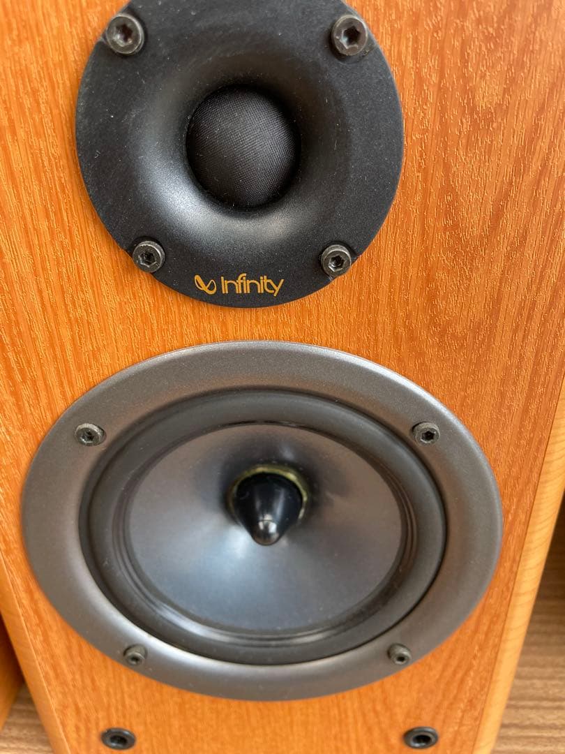 インフィニティ　リファレンス10E ペア