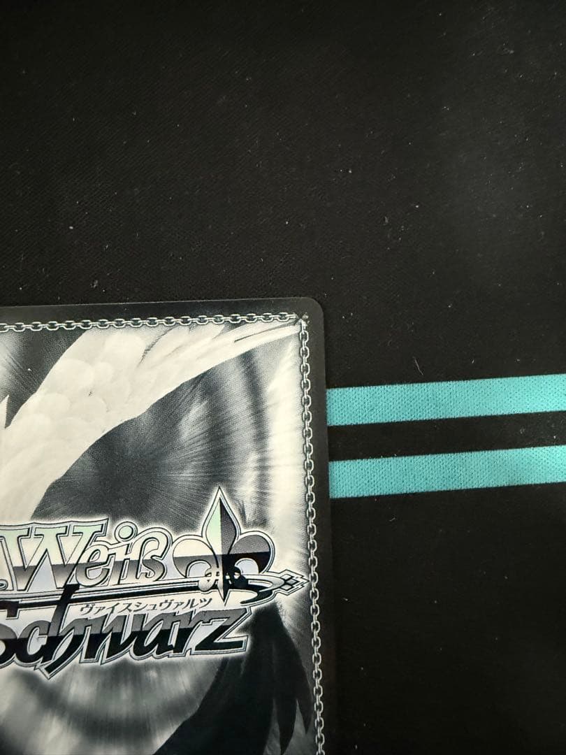 ヴァイス リリカルなのは 魔導士の杖と共に なのは　SEC サイン