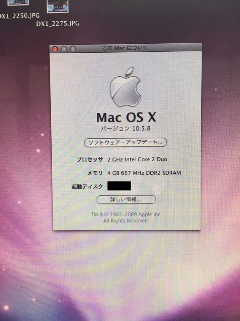 SSD変更済！ iMac20 メモリ4G アドビフォトショ イラレ