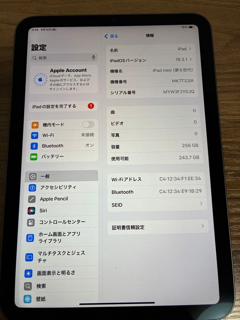 iPad mini6 第6世代　256GB Wi-Fi スペースグレー