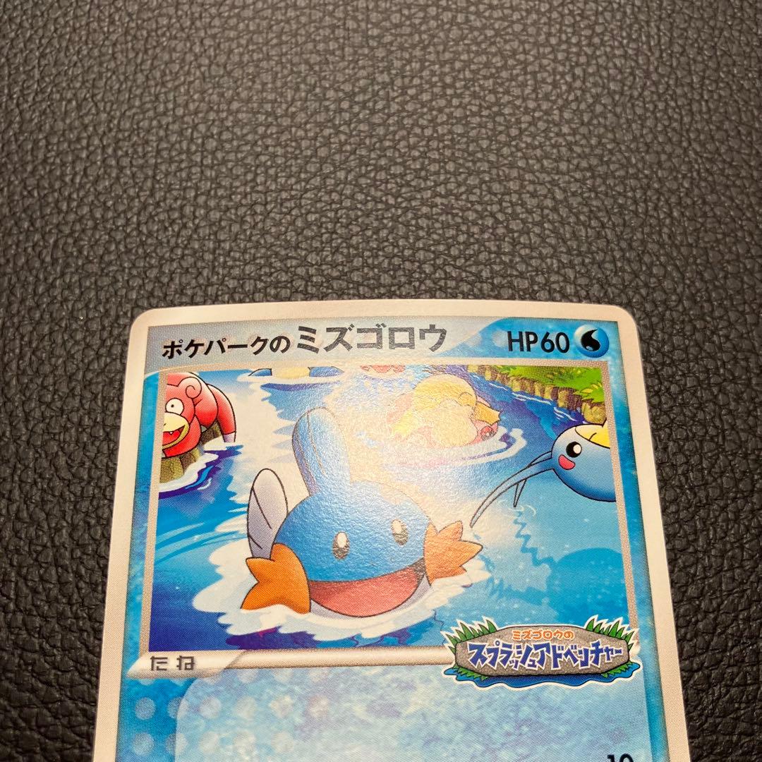 ミズゴロウ　048/pcg-p ポケパークプロモ　ポケモンカード