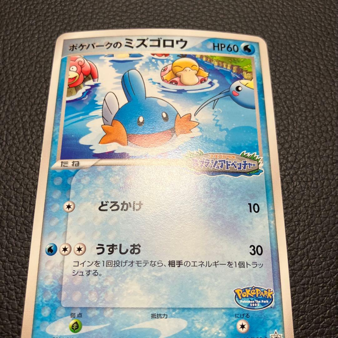 ミズゴロウ　048/pcg-p ポケパークプロモ　ポケモンカード