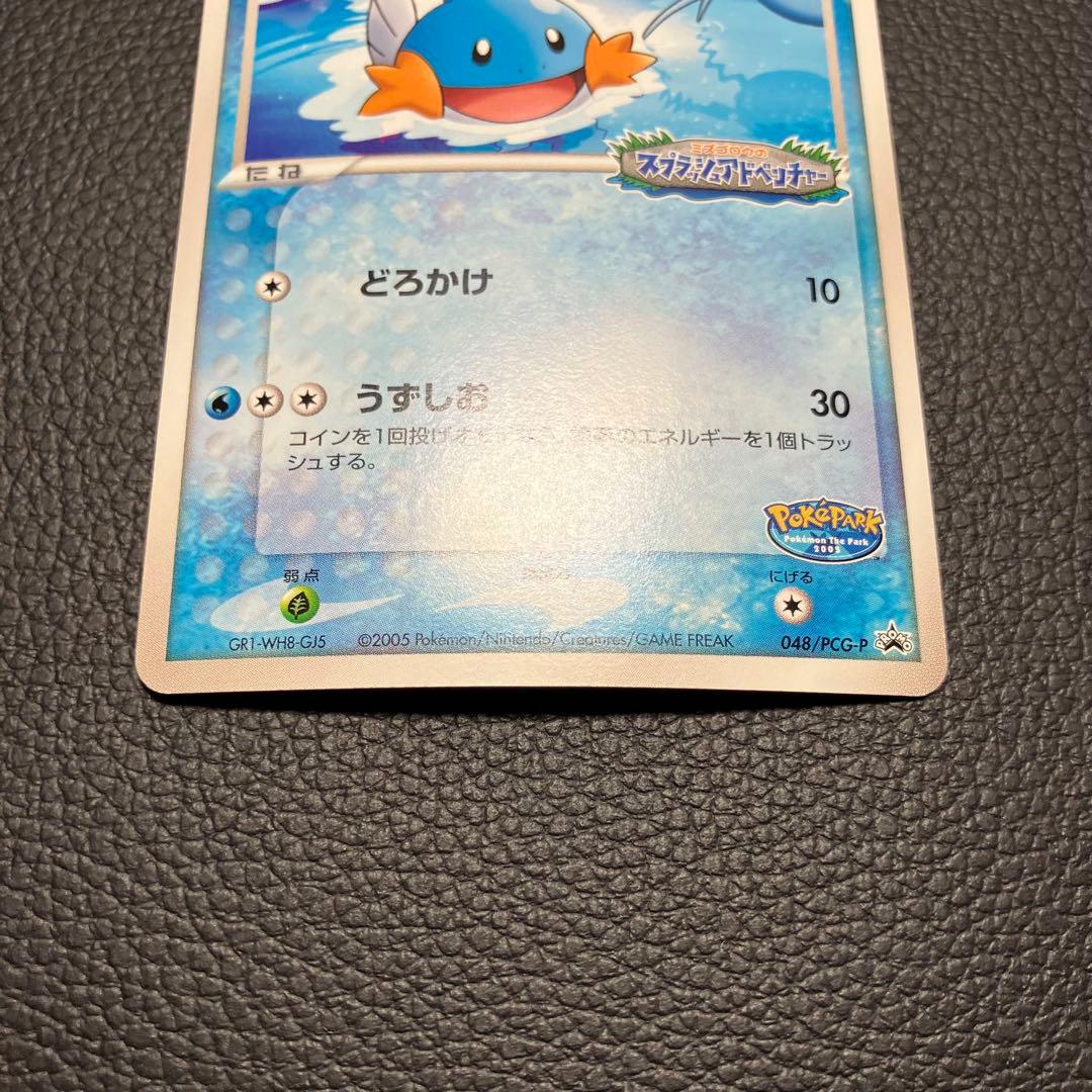 ミズゴロウ　048/pcg-p ポケパークプロモ　ポケモンカード