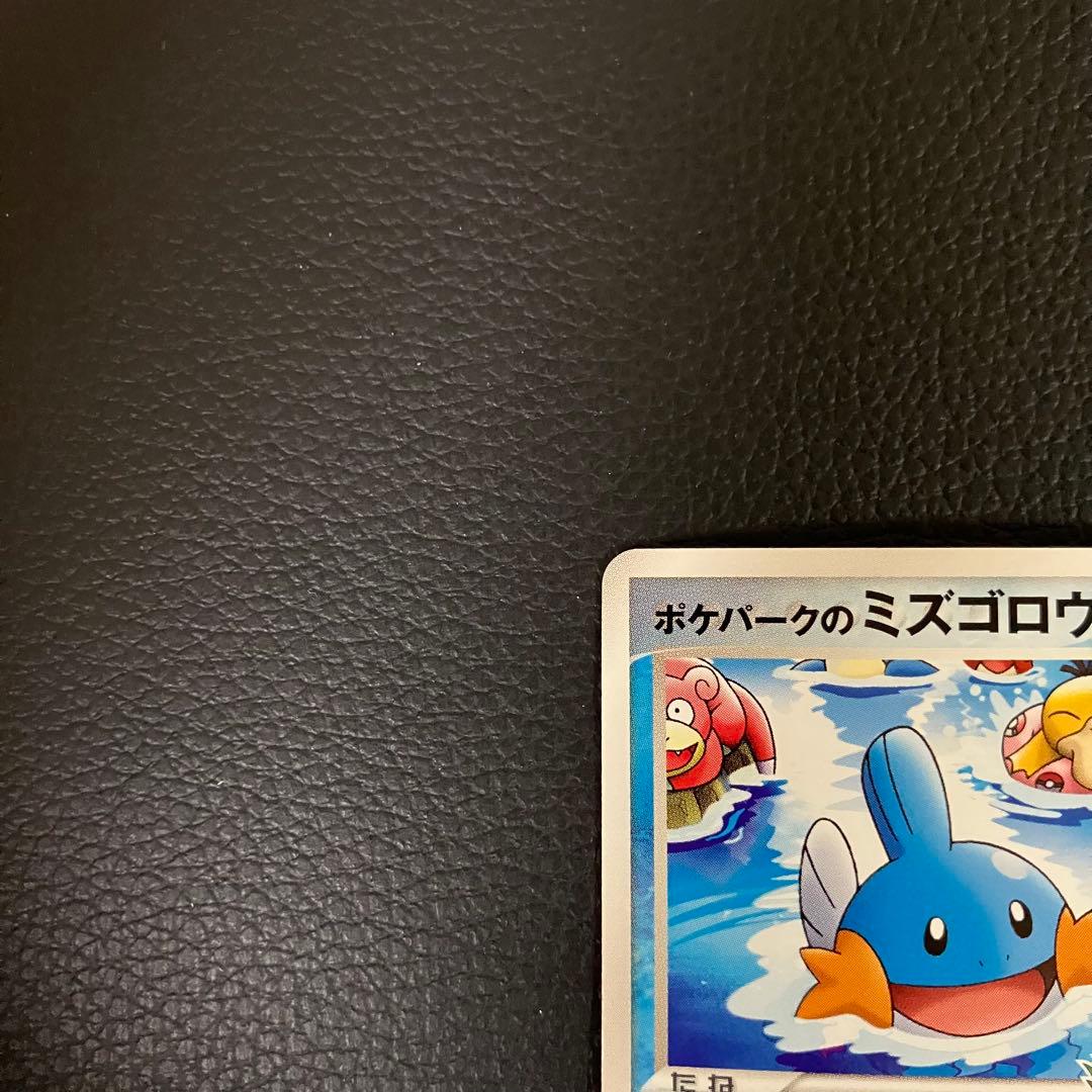 ミズゴロウ　048/pcg-p ポケパークプロモ　ポケモンカード