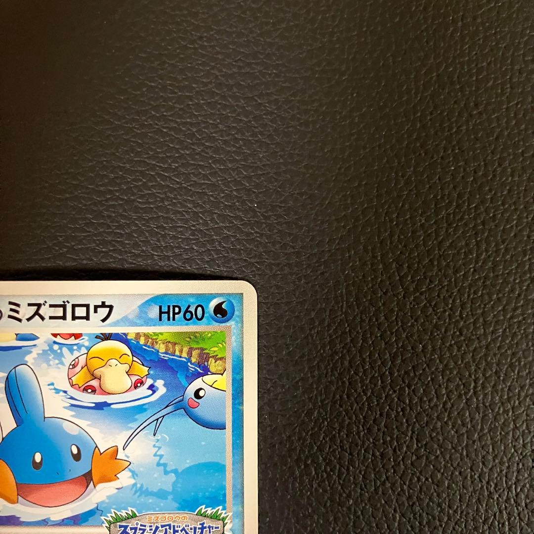 ミズゴロウ　048/pcg-p ポケパークプロモ　ポケモンカード