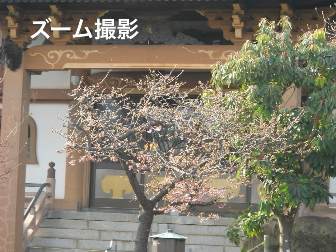 追加あり⭕️【動作確認済】Nikon COOLPIX L21 デジカメ　シルバー