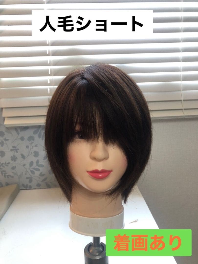 人気の　人毛ショートウィッグ ブラウン系　未使用