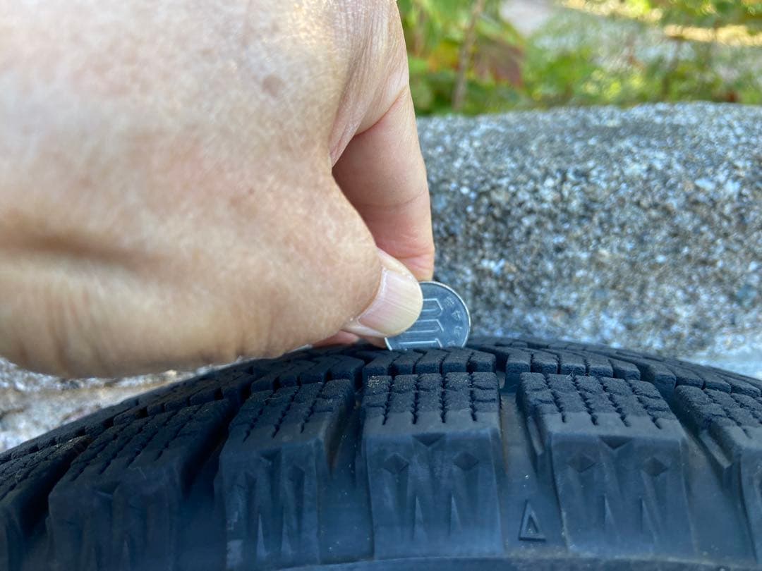 ももがみその②