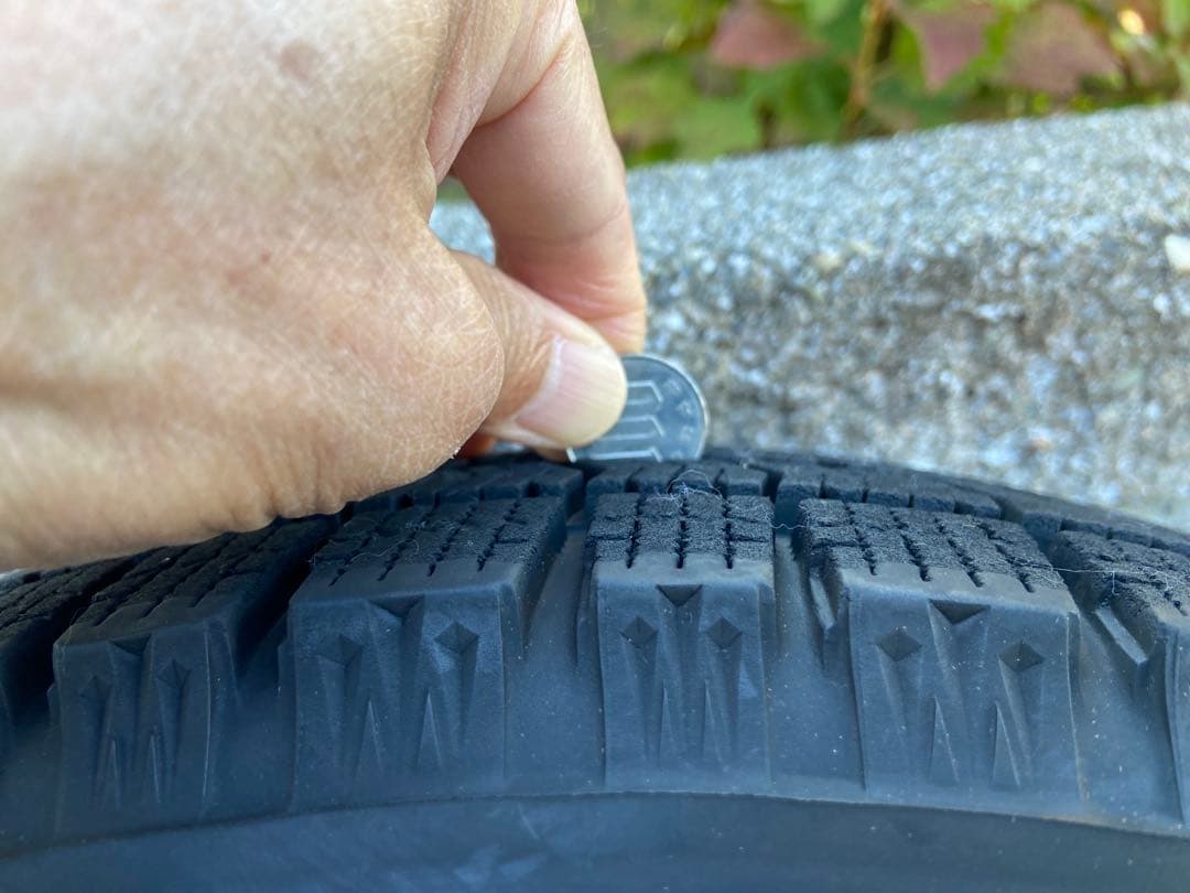 ももがみその②