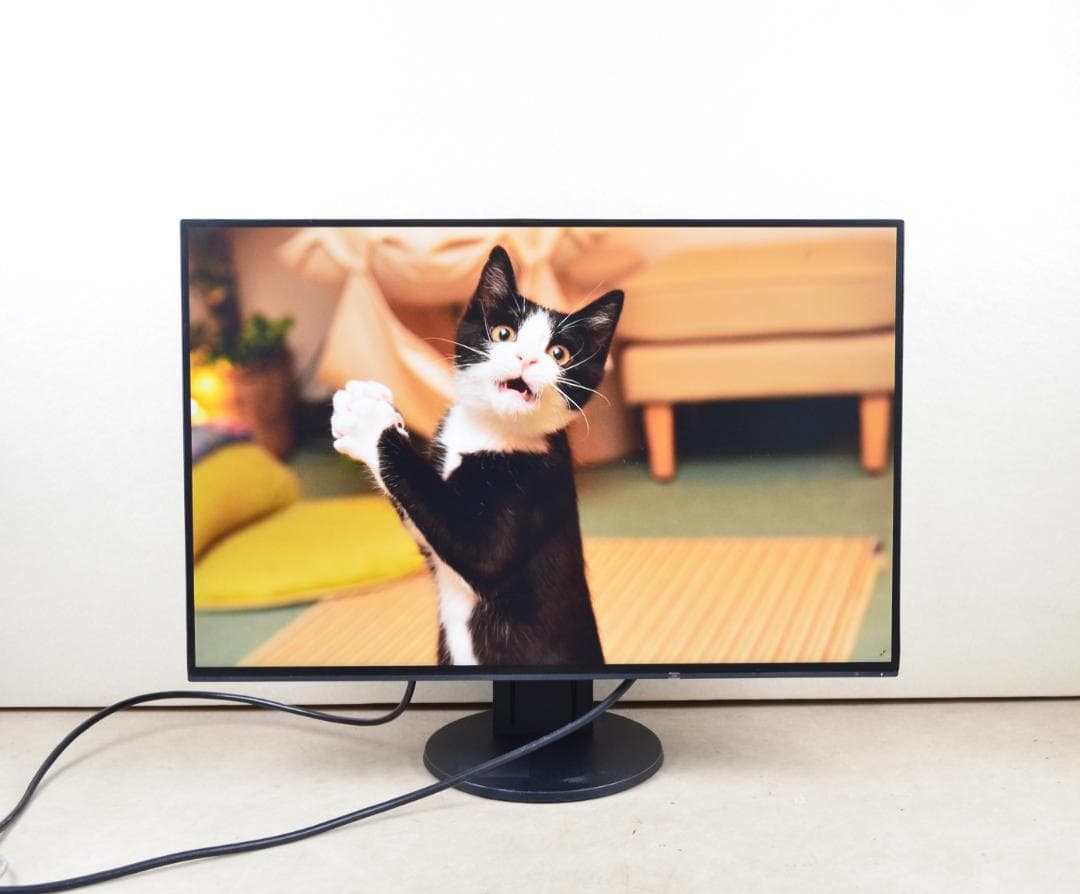 6341　超狭額　EIZO　EV2456　24型　WUXGA　HDMI　IPS