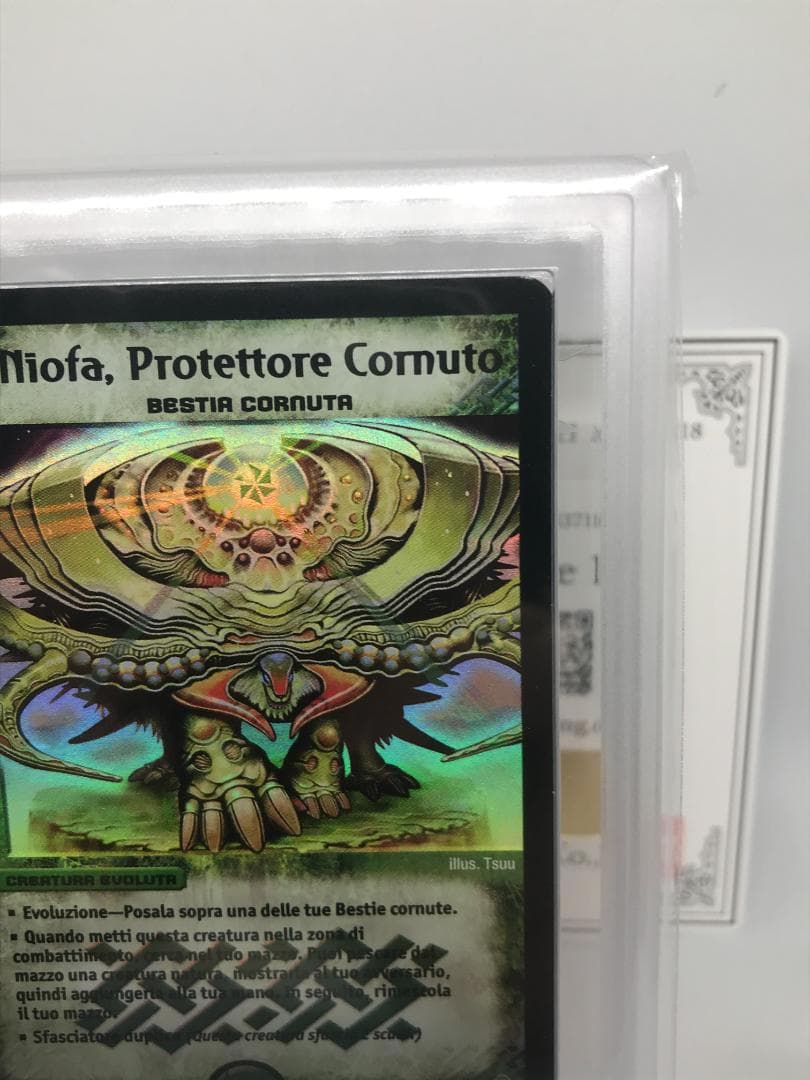 【ARS10+】護りの角フィオナ イタリア語 鑑定書付【PSA/ARS鑑定品】