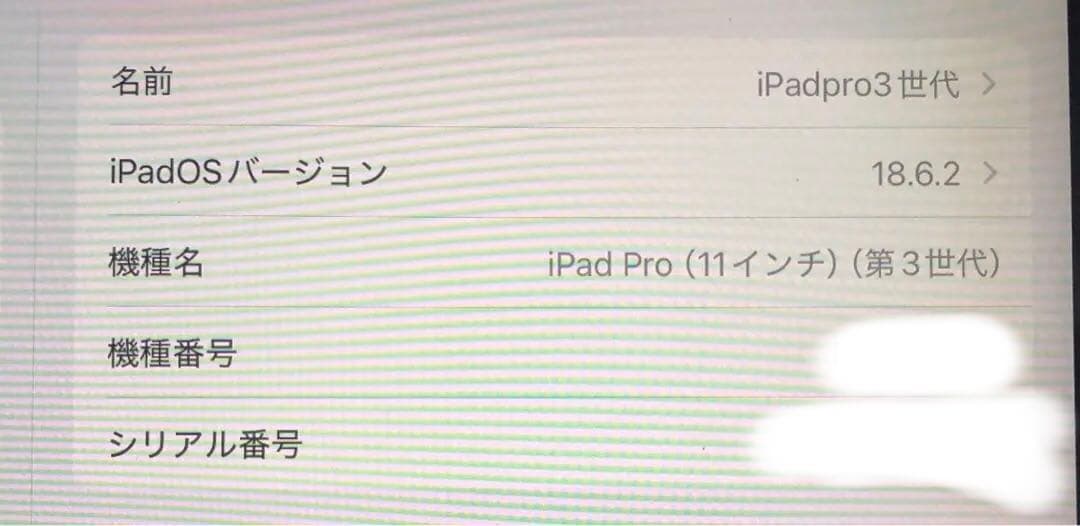 iPad Pro 11インチ　第3世代 256GB Wi-Fi
