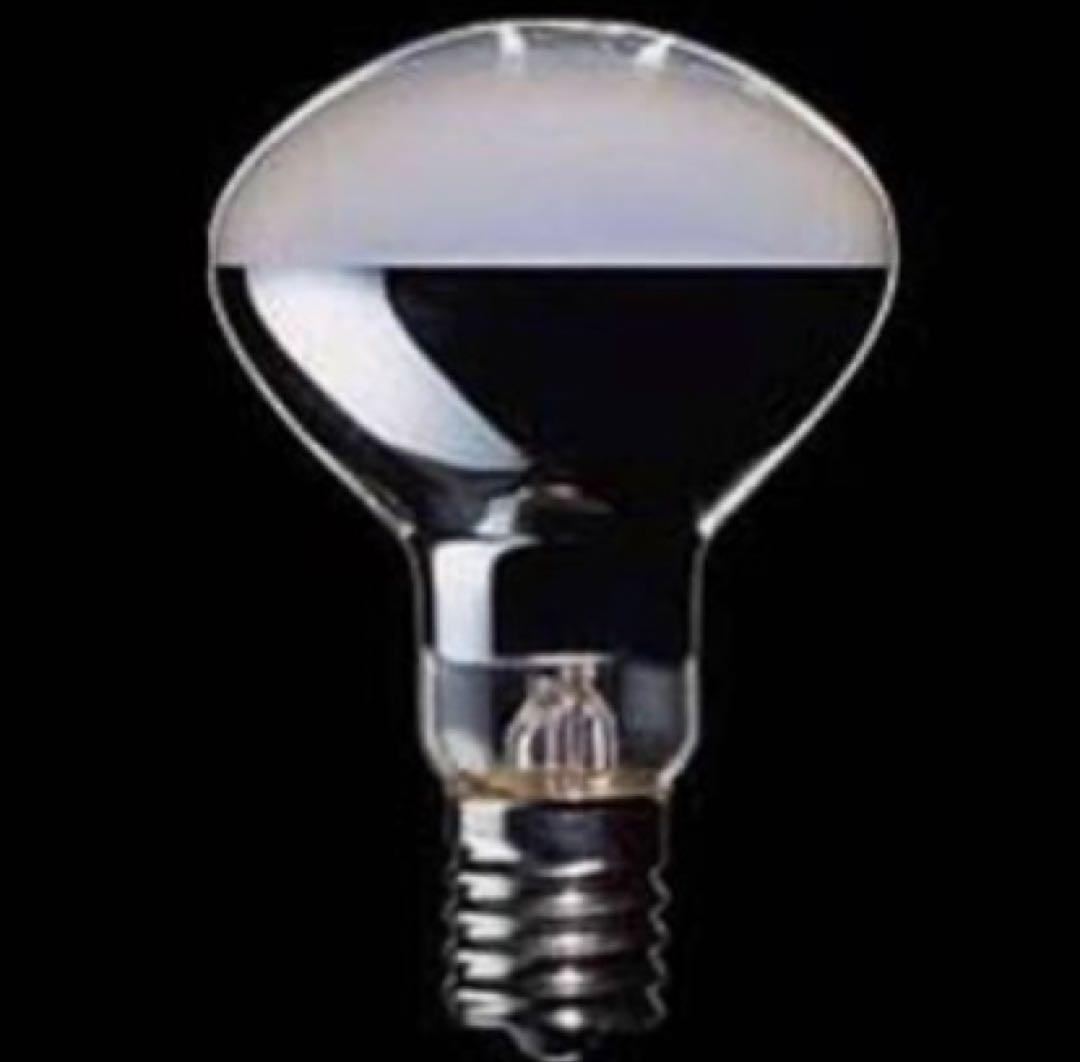 東芝 ミニクリプトン電球 50W型 75個まとめ売り E17 生産終了品