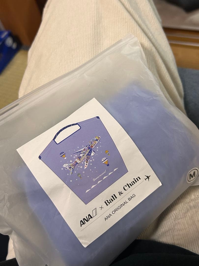 国際線限定ANA x Ball & Chain バッグ