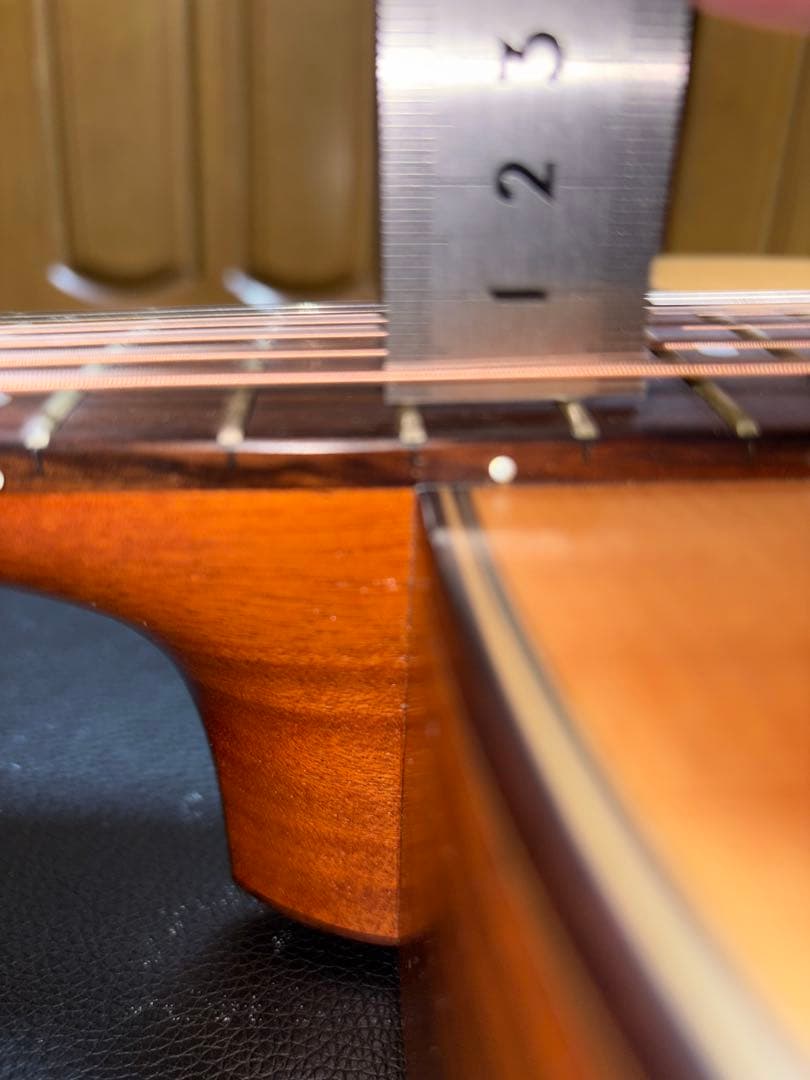 Asturias Solo Standard 国産　最終値下げ