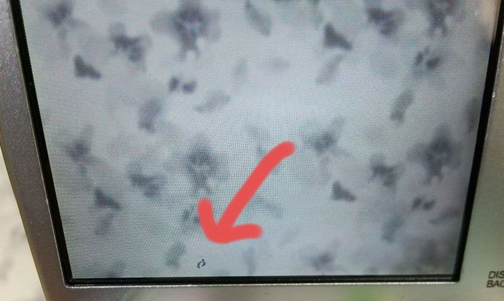 【RS50】FUJIFILM finepix F100fd デジカメ 本体