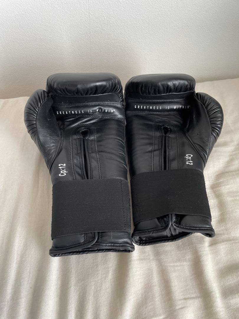 【未使用】Everlast ボクシンググローブ ブラック