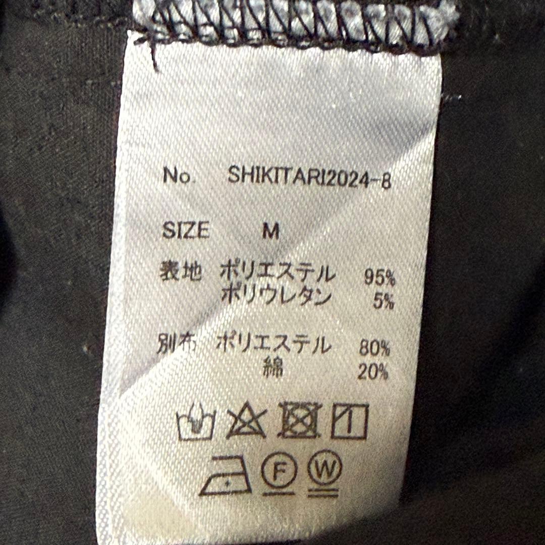 SHIKITARI ストライプスラックス