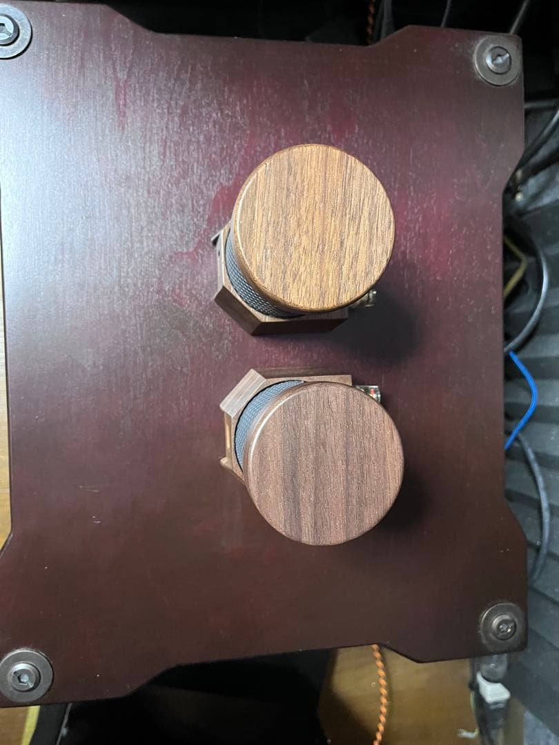 り*り様 スーパーツイーター TAKET-LIVE 美品 使用少