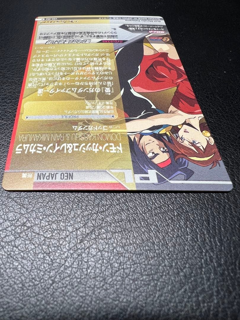 ドモン・カッシュ&レイン・ミカムラ　VS5-052