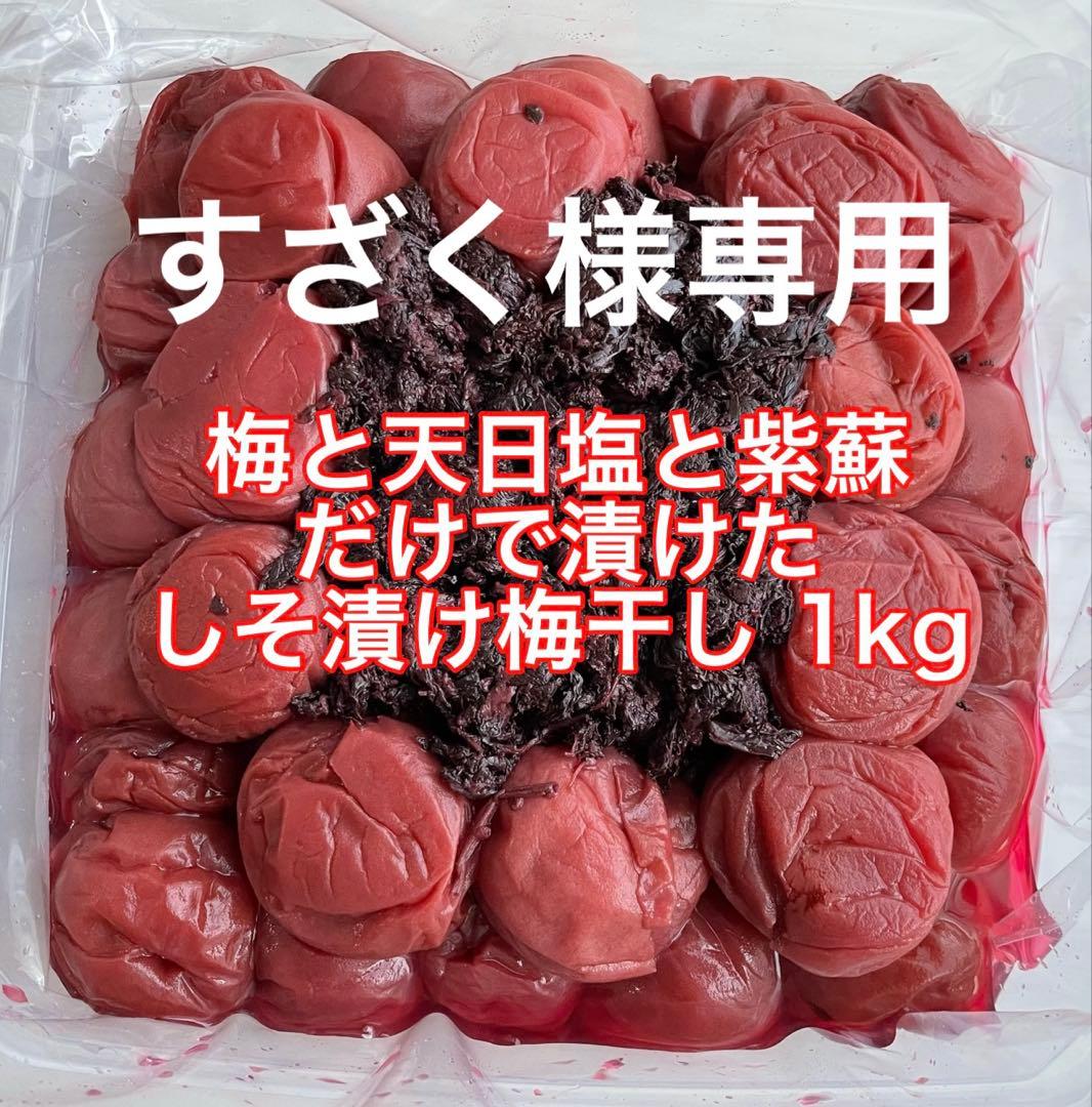 3kg 紀州南高梅 訳あり 梅と天日塩と紫蘇だけで漬けた しそ漬け梅干し