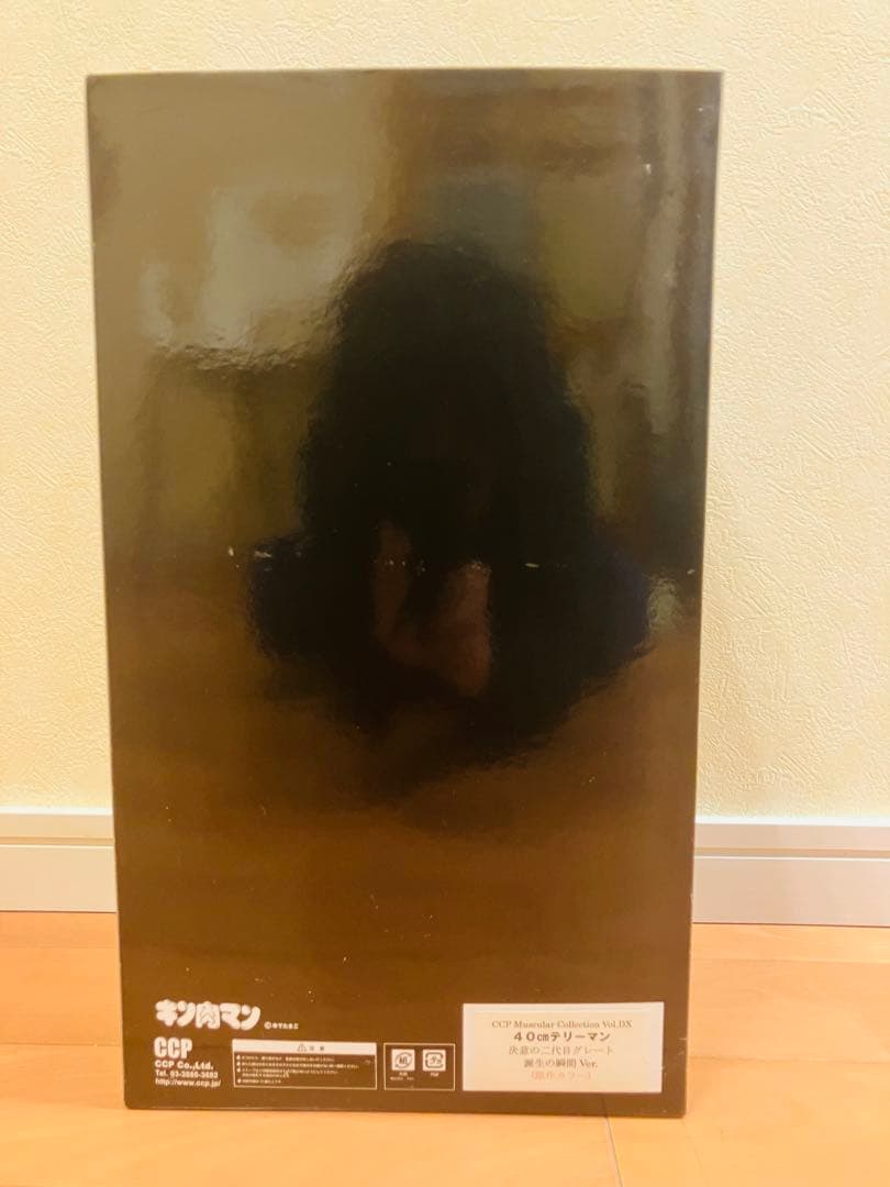 【未開封】CCP　キン肉マン　４０ｃｍ　テリーマン　二代目グレート　原作カラー