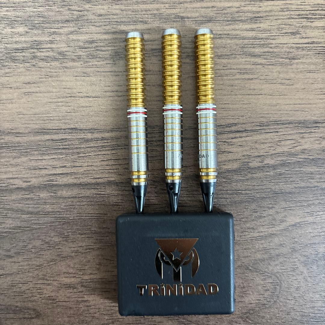 TRINIDAD Gomez Type 16 ダーツ 20g