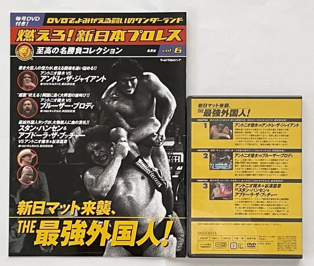 燃えろ！新日本プロレス vol.1～vol.11 DVD (冊子+カード付き)