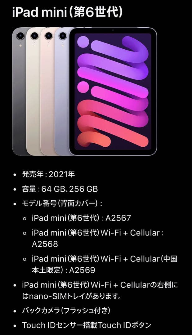 iPad mini (第6世代) 256GB Wi-Fi スペースグレイ