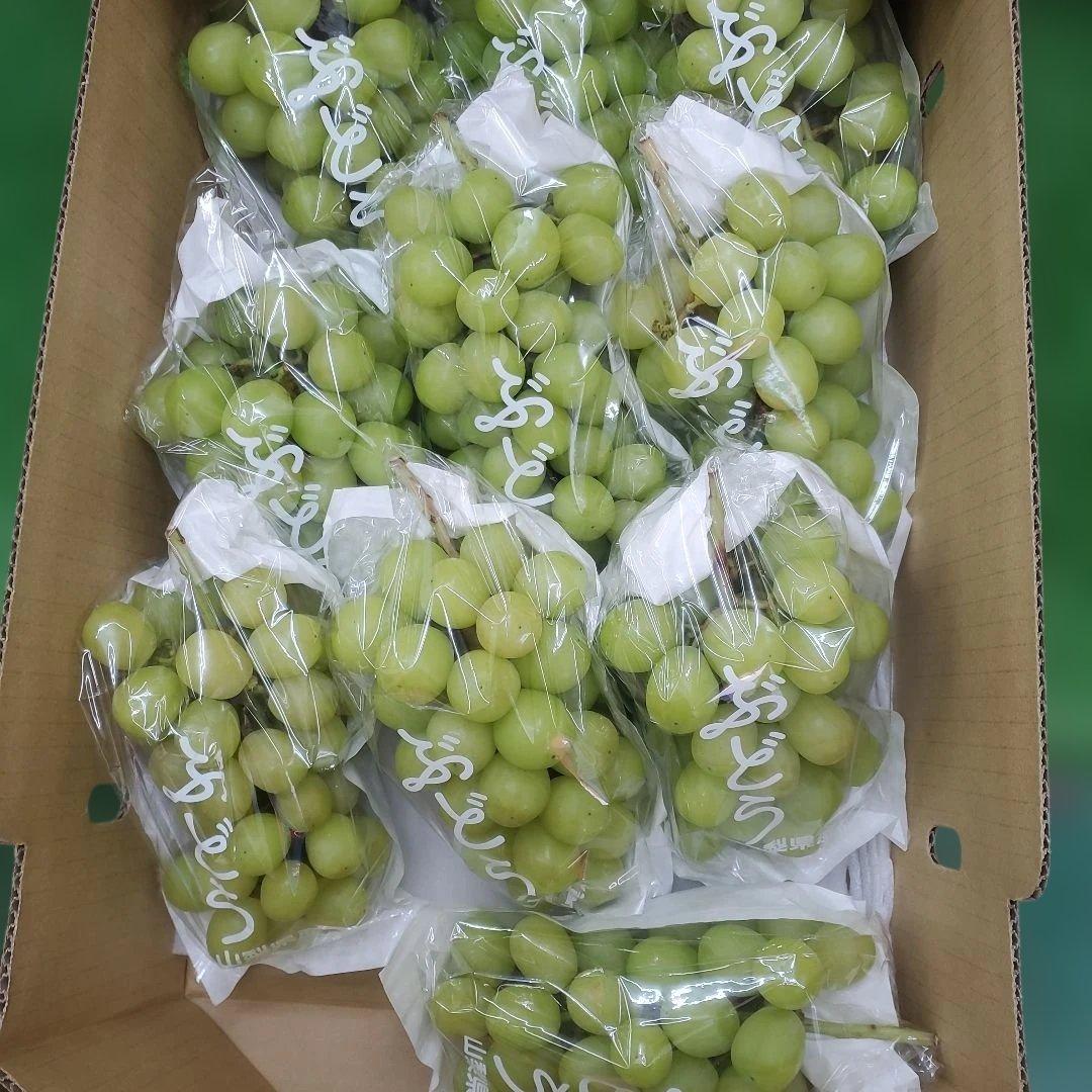 6️⃣ 山梨県産 シャインマスカット １０房入り 箱込み5.4キロ