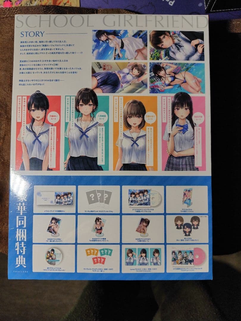 【新品未開封】制服カノジョ2 ガチ恋BOX switch