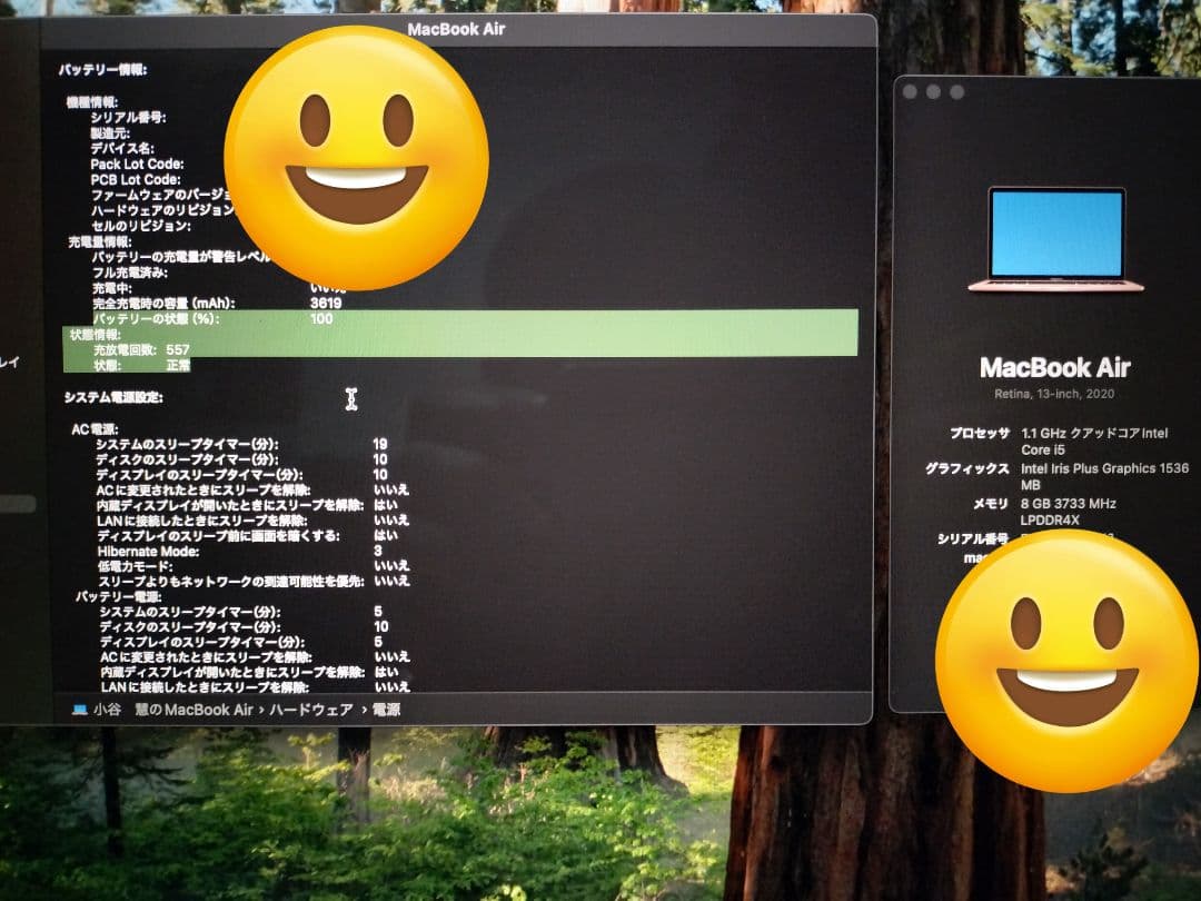 MacBook Air ゴールド 128GB SSD　Intel Core i5