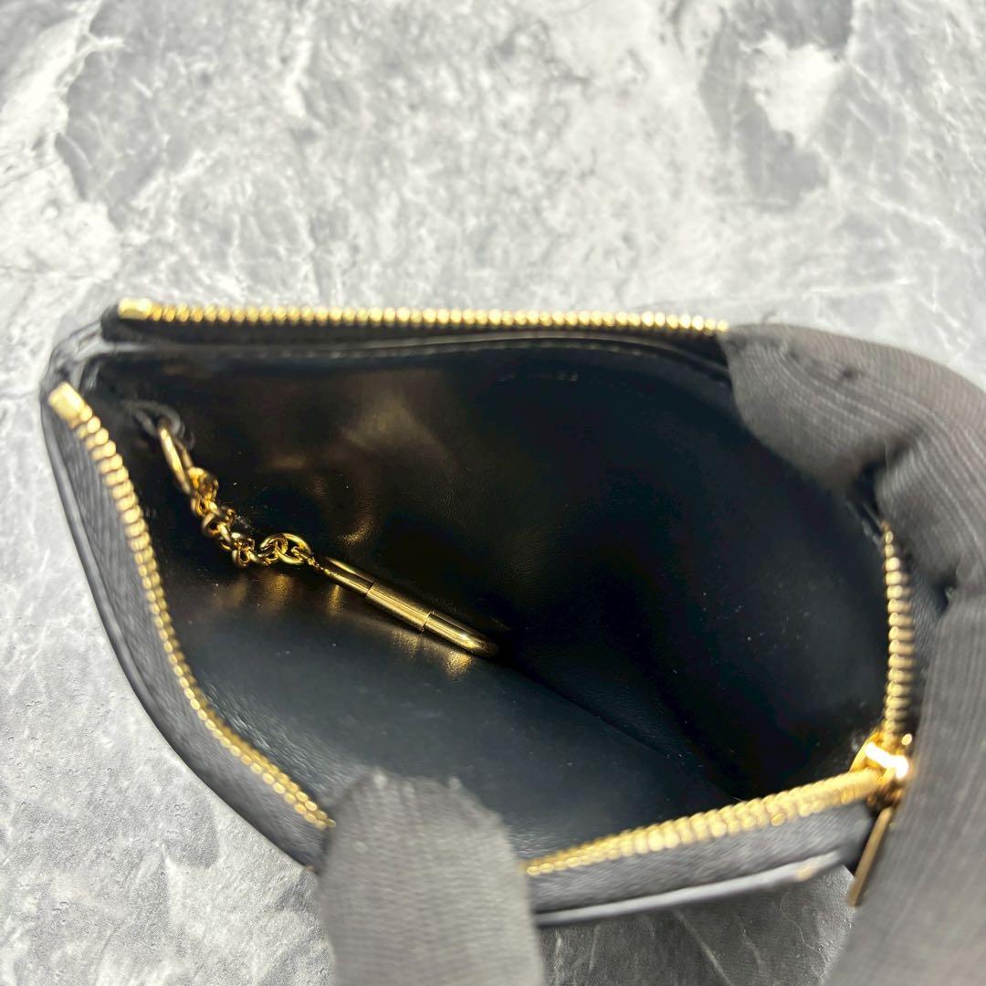 専用✨ CELINセリーヌ ケース キュイル トリオンフ