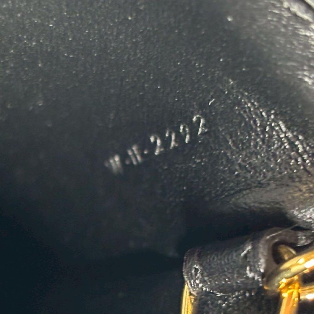 専用✨ CELINセリーヌ ケース キュイル トリオンフ