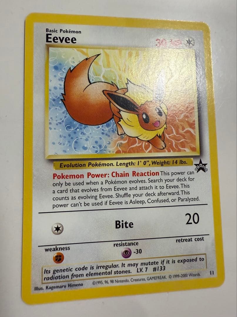 ポケカ　ポケモンカードpokemon イーブイ Eevee US版