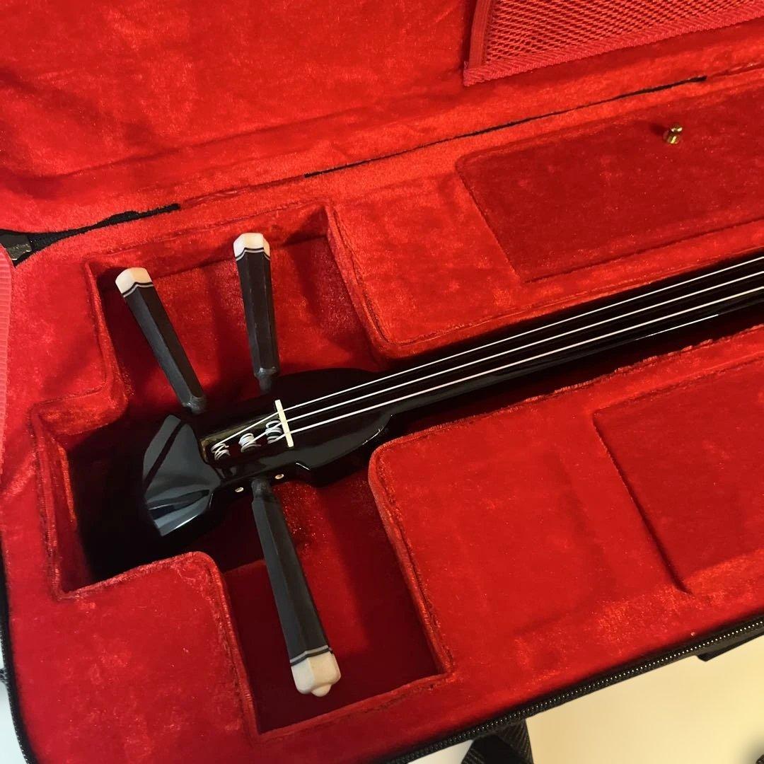 三線　沖縄三線　ほぼ未使用品　本革　セミハードケース