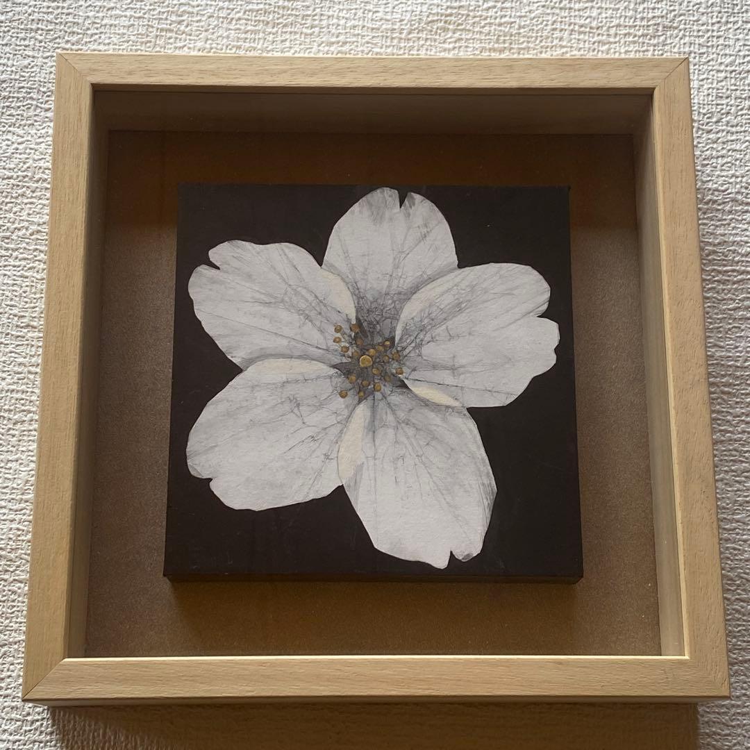 希少✨平野淳子　武蔵野図　さくら　絵画　アート　和紙　箔　胡粉　砂子 3点セット