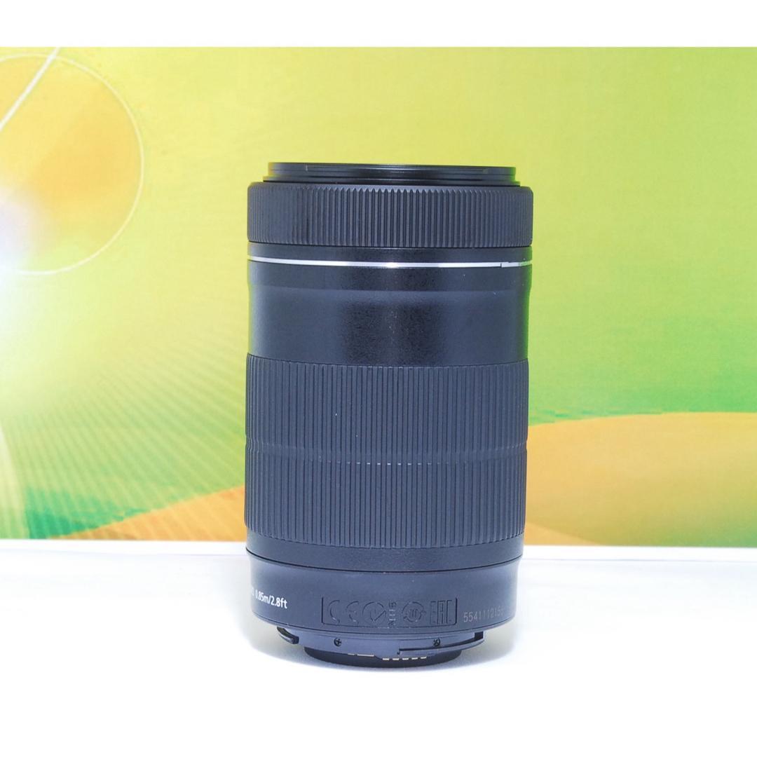 望遠デビューに最適✨EF-S 55-250mm IS STM 美品 動作良好