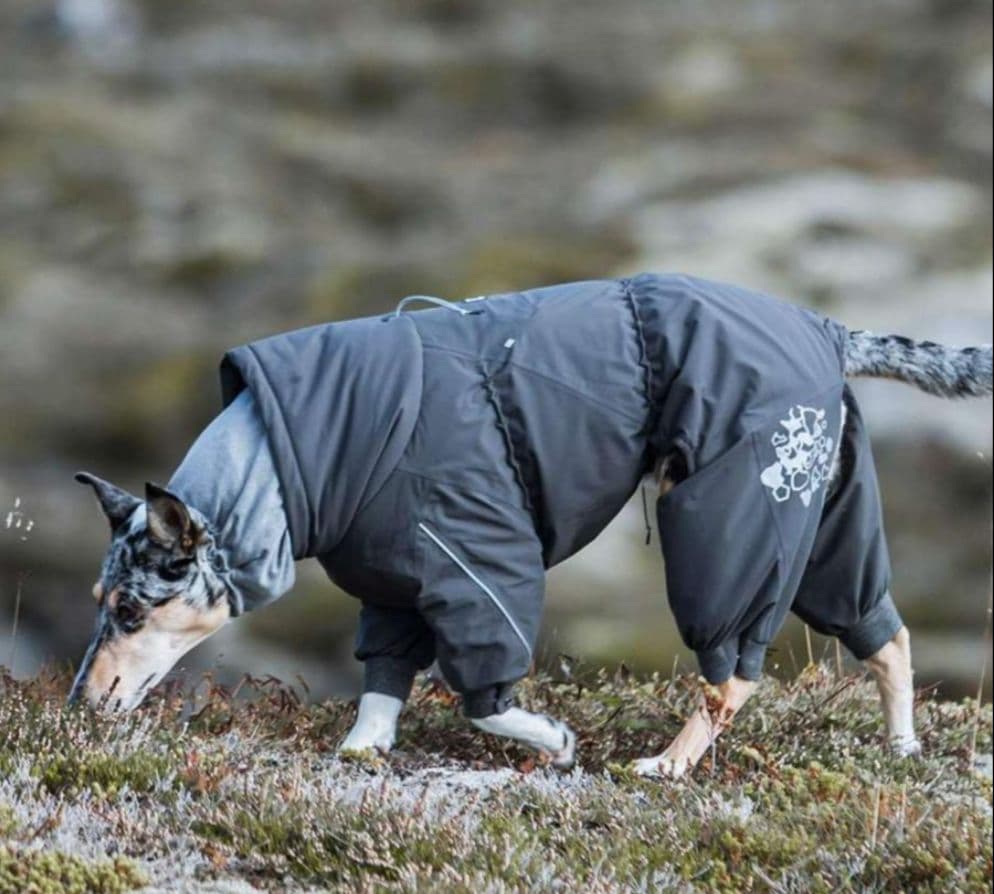 Hurtta エクストリームオーバーオール 犬用防寒オーバーオール グレイ30М