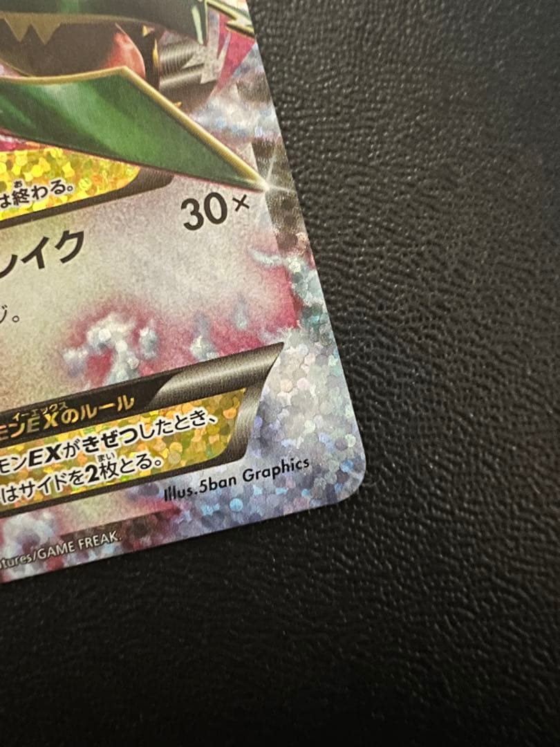 ば*君様 レックウザメガ進化 25th