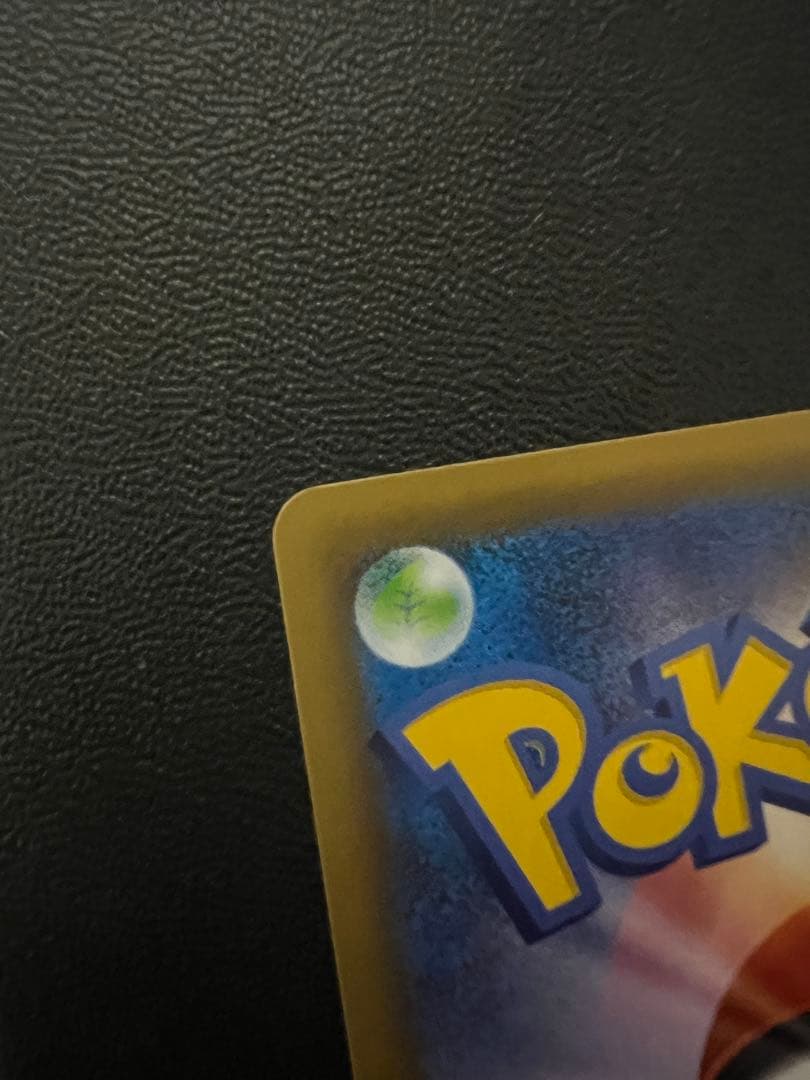 ば*君様 レックウザメガ進化 25th