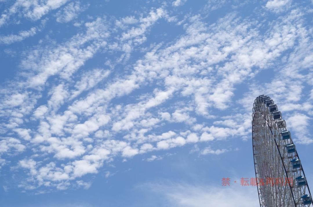 HASSELBLAD HC 80mm F2.8(完動品・旧型・作例あり)