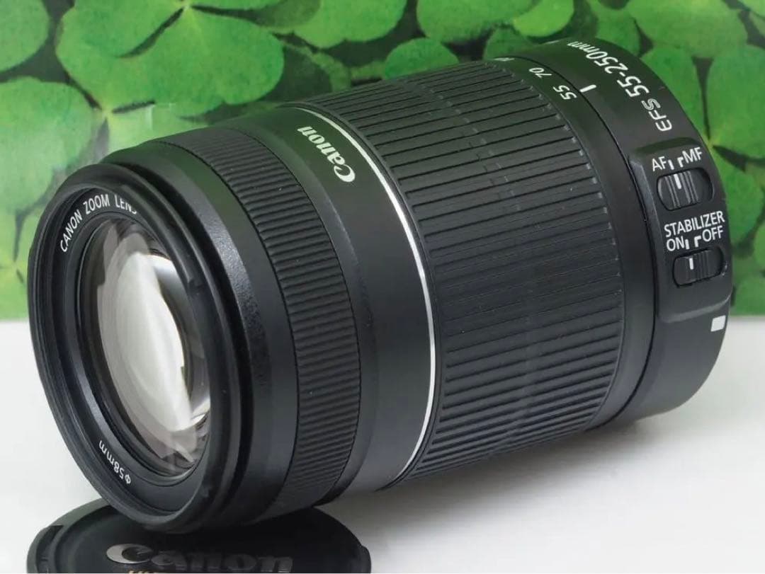 【美品】キャノンEF-S55-250mm ISⅡ手ブレ補正⭐️イベントで大活躍