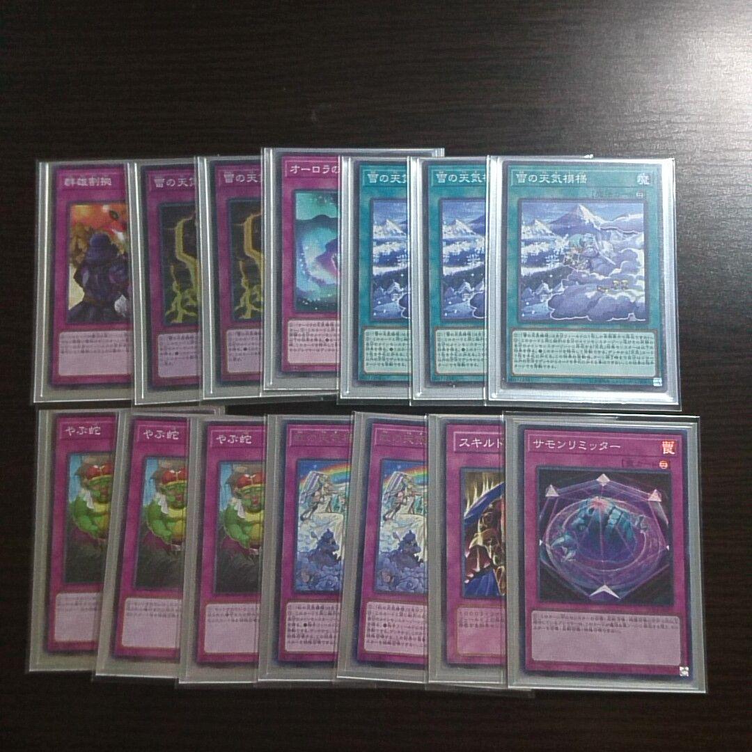 遊戯王【天気】デッキ スリーブ付/