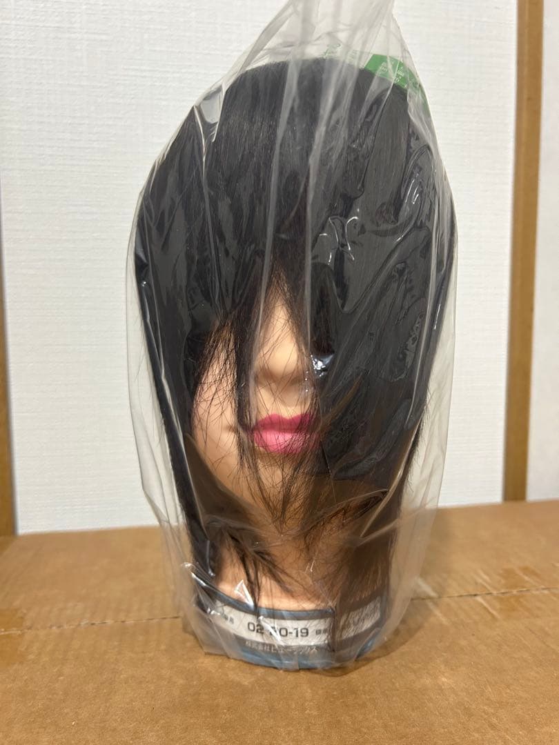 国家試験用 カットウィッグ 15体 新品未使用