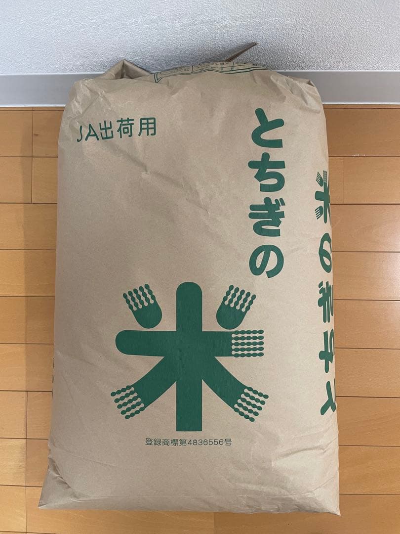 令和7年　栃木県産コシヒカリ　20キロ　玄米