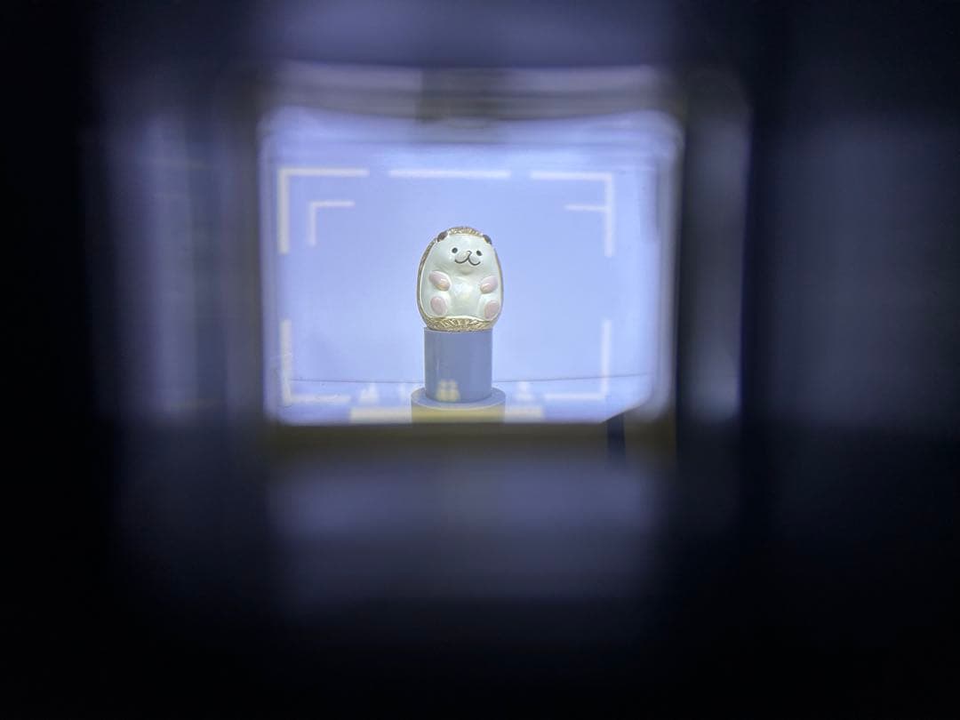 Nikon ニコン L35AD2 ピカイチ 動作品 カメラ　比較的美品