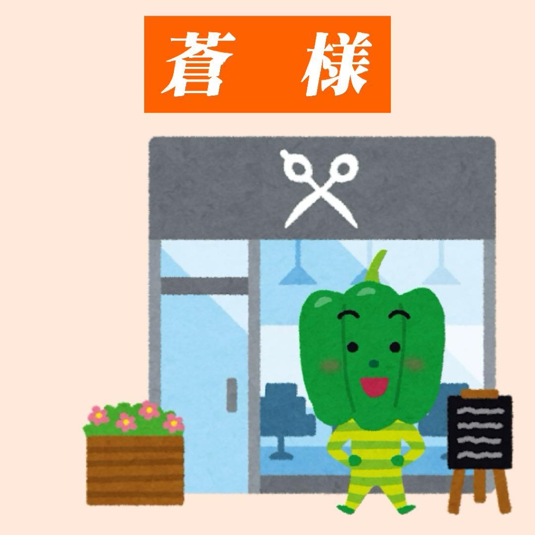 蒼様　ウィッグオーダー専用ページ