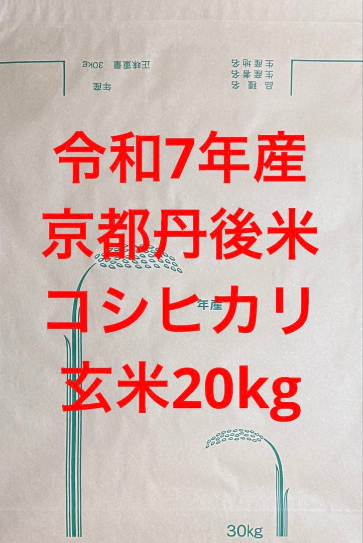 送料無料 令和7年産 京都丹後米 コシヒカリ 玄米 20kg