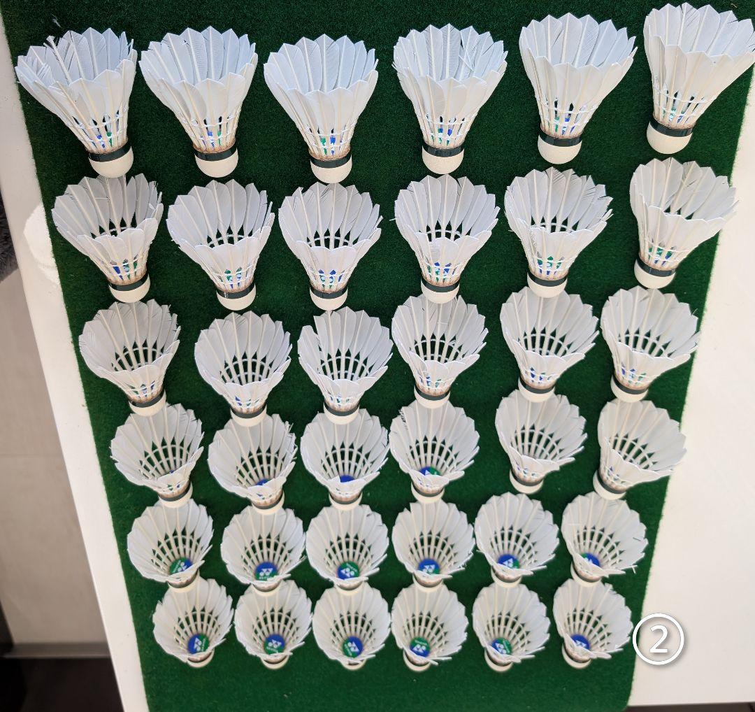 NEW OFFICIAL F4 10ダース